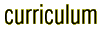 Curriculum