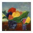 Vasoc/Flores