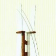 Cleber 