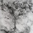 quadro