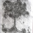 quadro