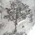 quadro