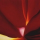 art-bonobo