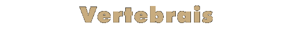 coca