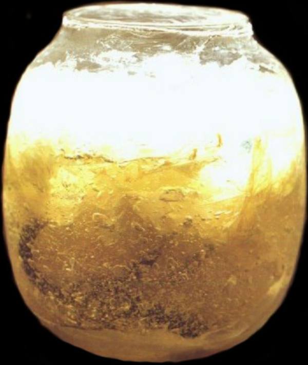 coca