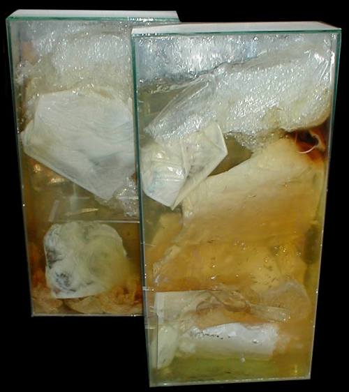 coca